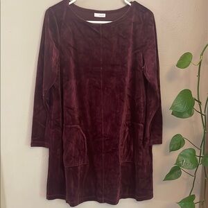 JJill Long Sleeve Velvet Dress Top
